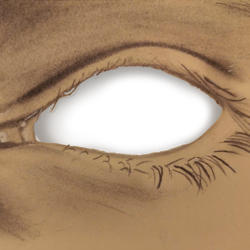 Eye Socket